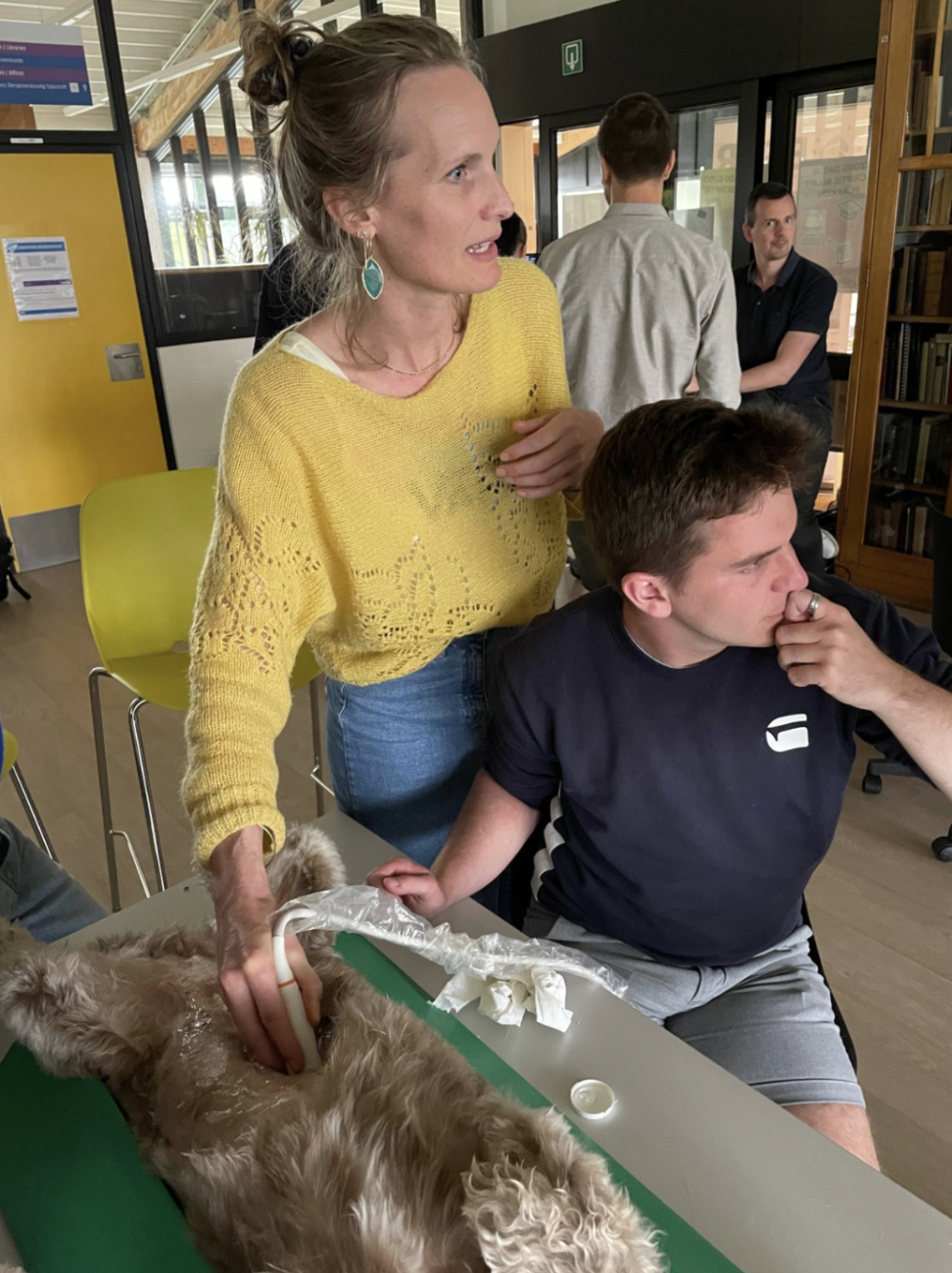 Echo Abdomen: Module 2 - Dr. Sarah Claerhoudt - op 11/12/2025