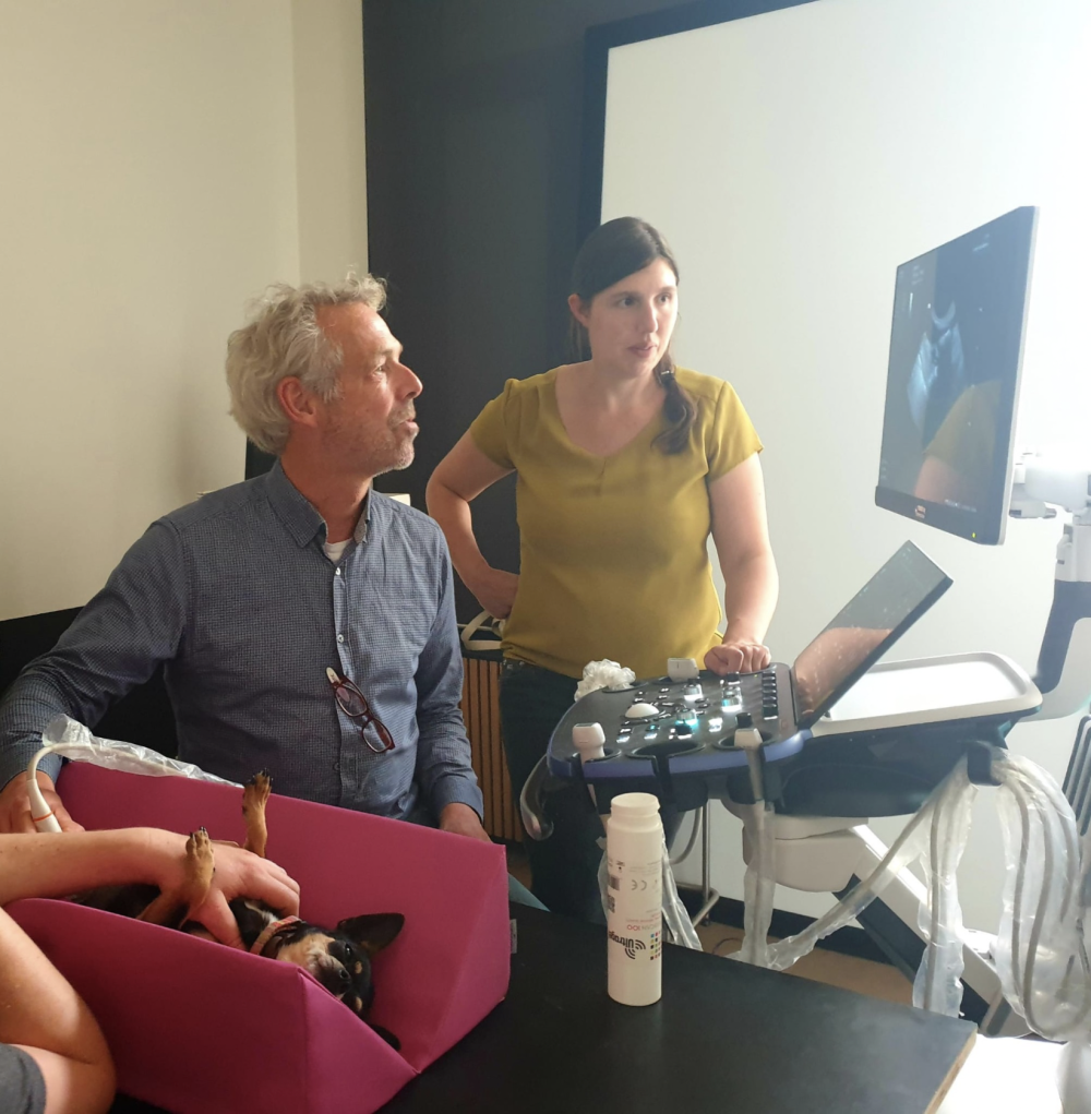 One-on-One Echo Abdomen - Dr. Emmelie Stock - op 09/10/2026