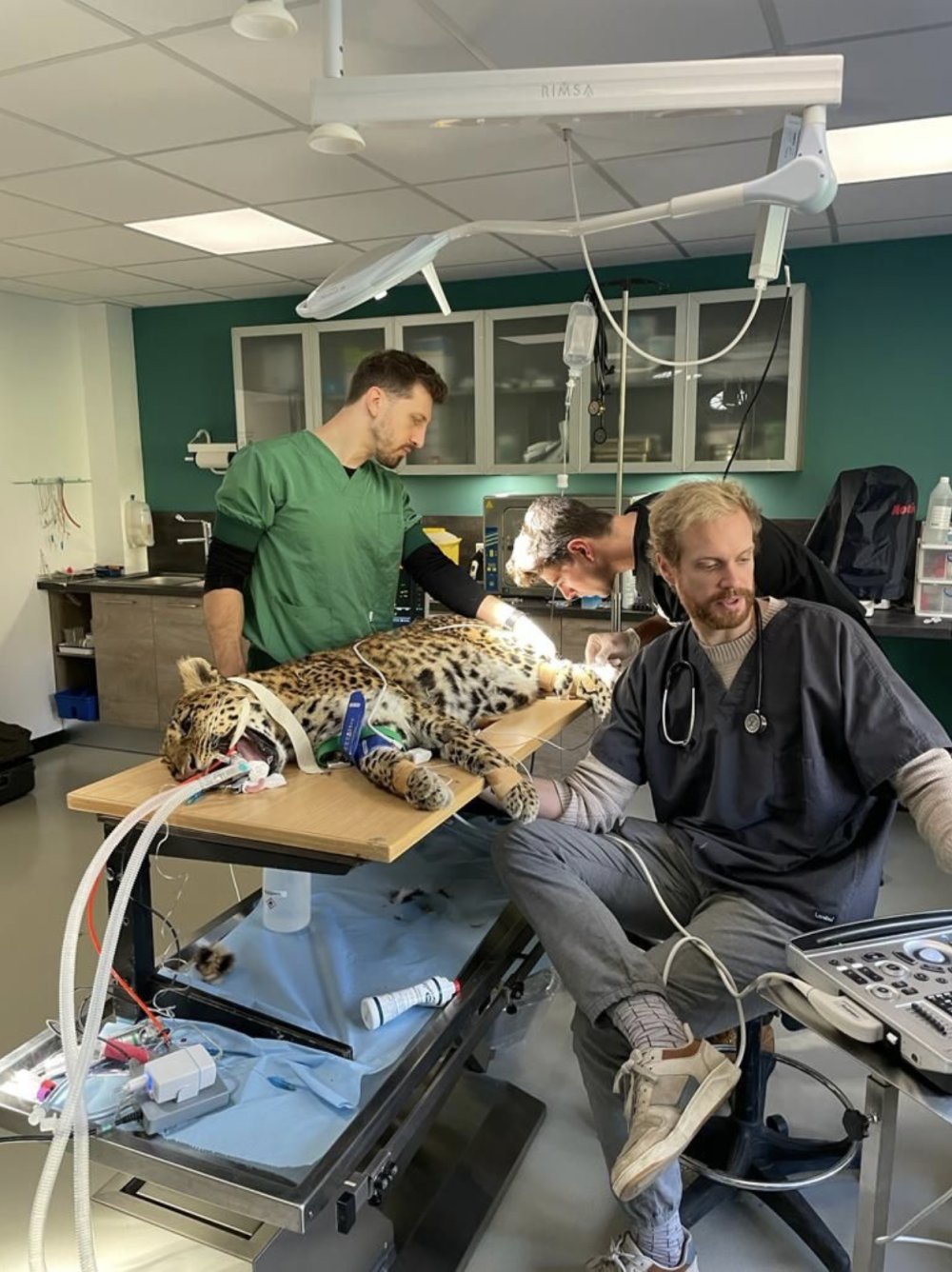 One-on-One echocardio - Dr. Laurent Locquet - op 29/11/2025