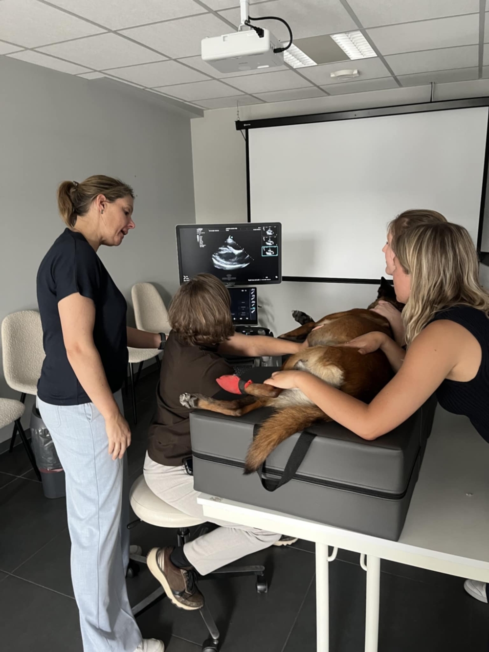 Opleiding Echocardio Advanced 1 - Prof Dr. Pascale Smets en Dr. Gitte Mampaey - op 13/11/2026