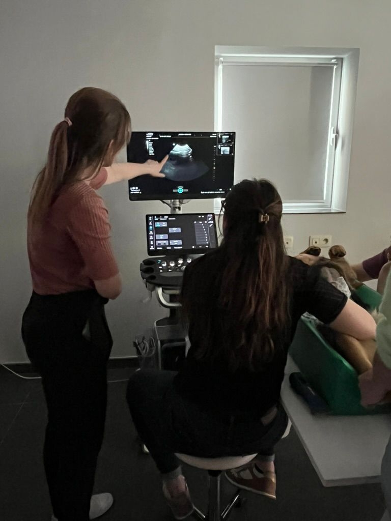 Opleiding lasertherapie: Grondslagen en toepassingen van MLS technologie - DVM. Nassèra Raeman - 26/02/2026