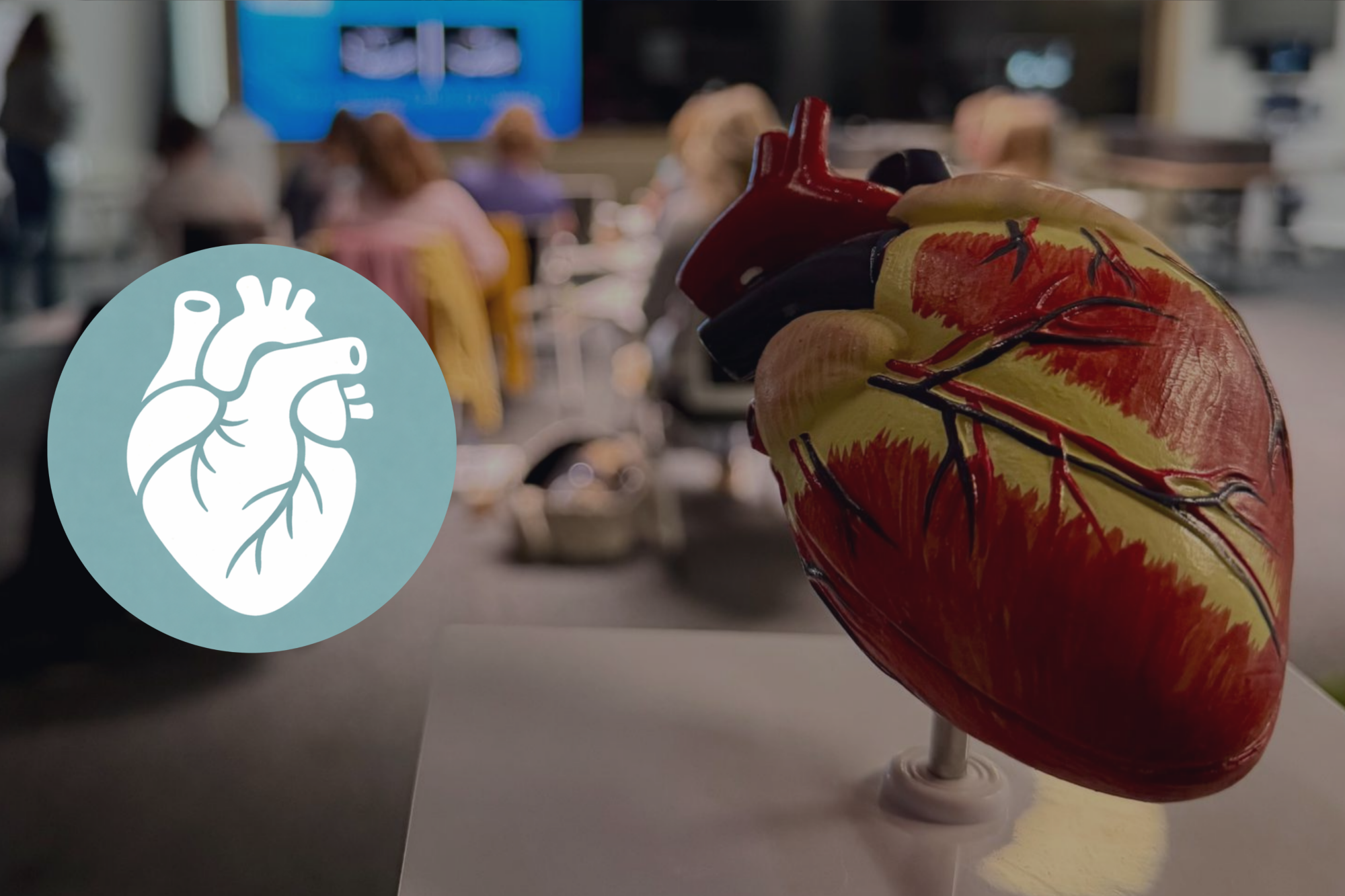 Echocardio: klepproblematiek, DCM en ARVC
