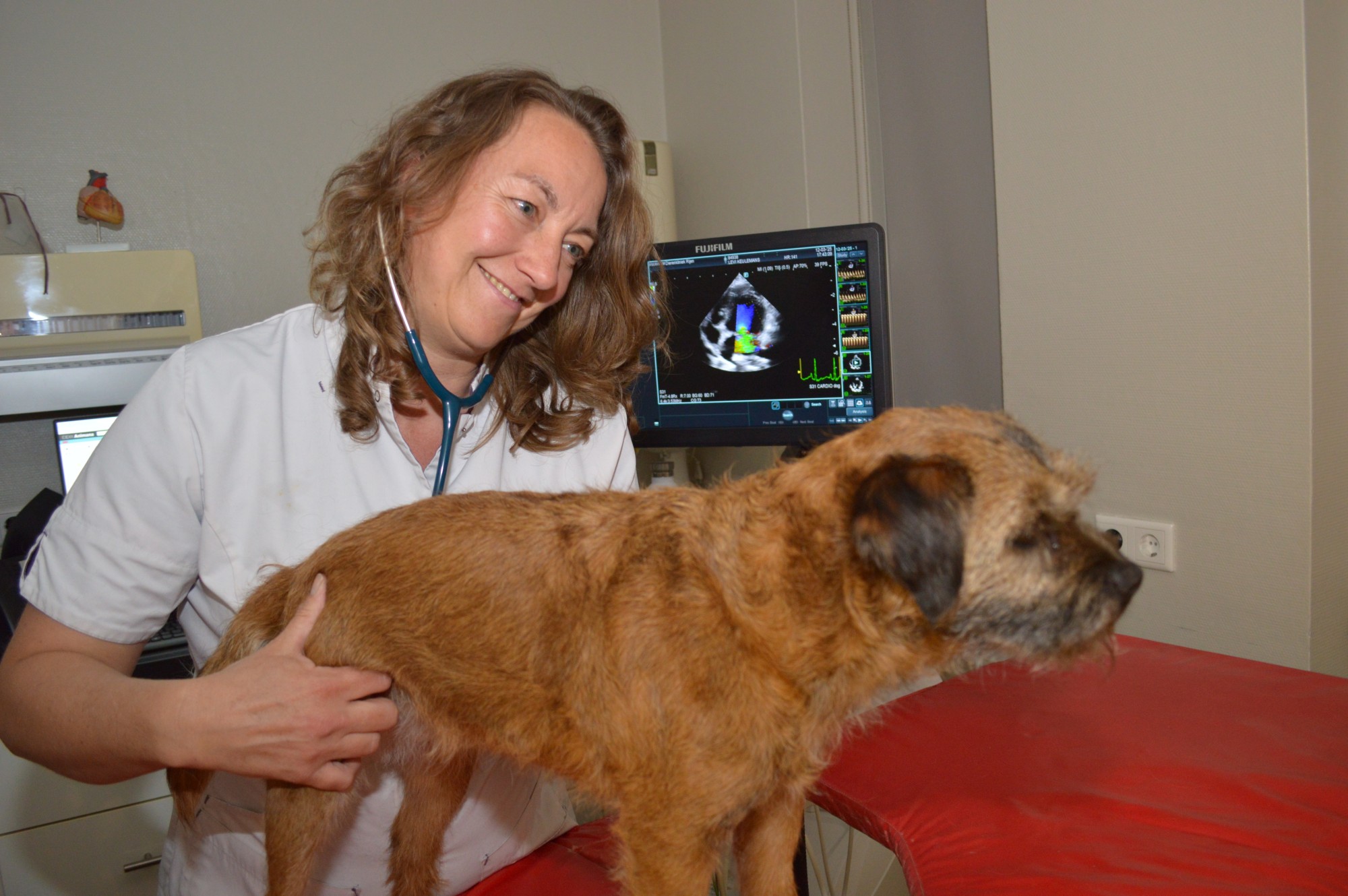 NEDERLAND, One-on-One Echo cardio en abdomen - DVM. Melanie Bouwmeester - op 16/10/2025